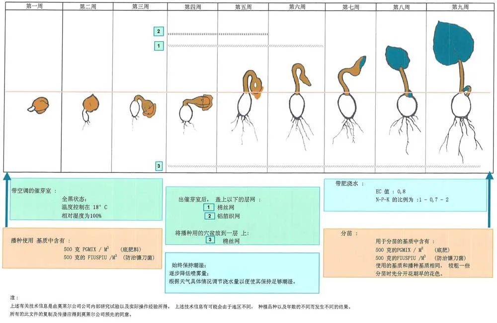 娉曞浗鑾幈灏斾粰瀹㈡潵鍝佺,鑾幈灏斾粰瀹㈡潵