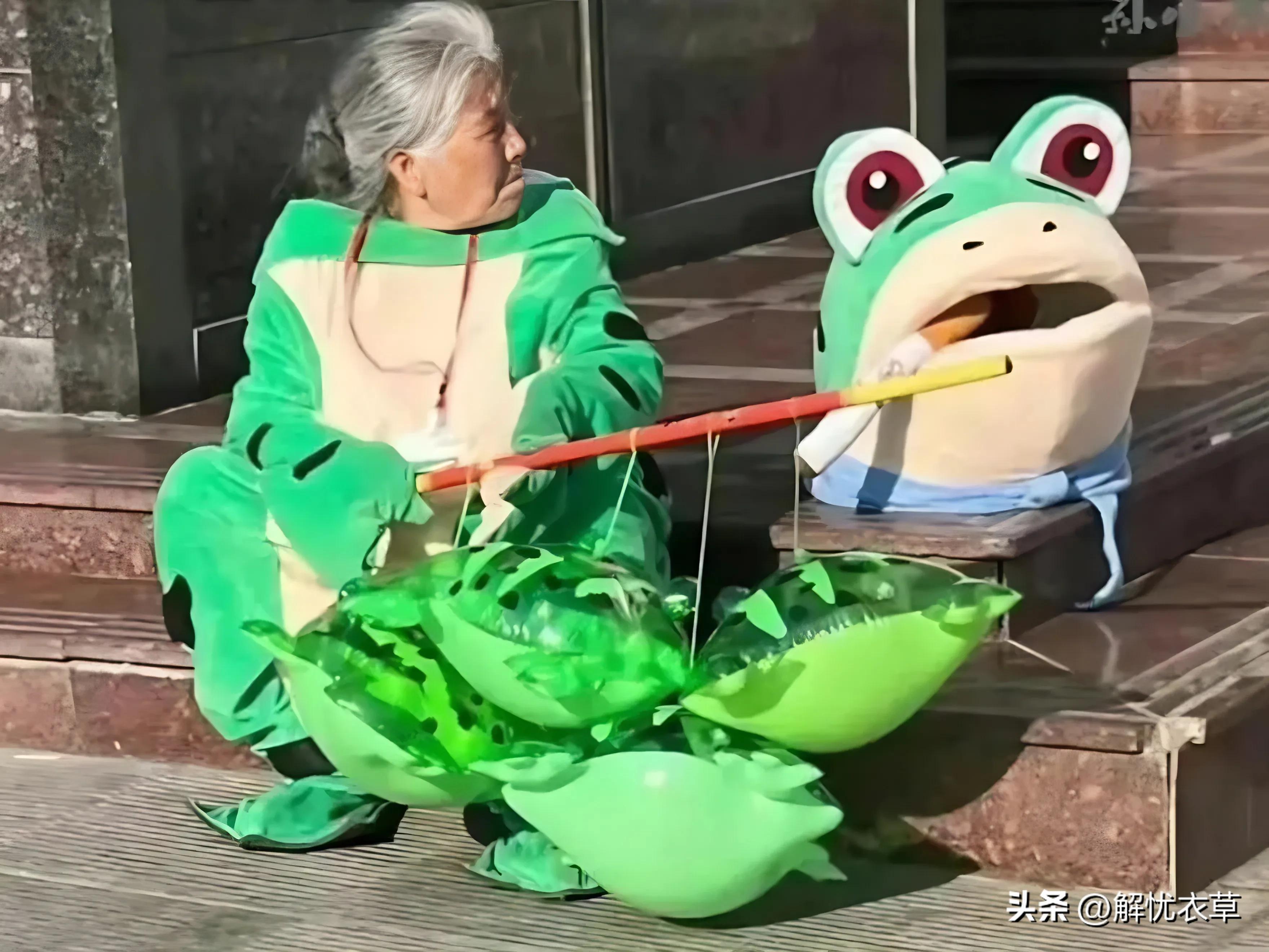 上海网红卖崽青蛙遭城管呵斥制止,网红卖崽青蛙上海被驱逐