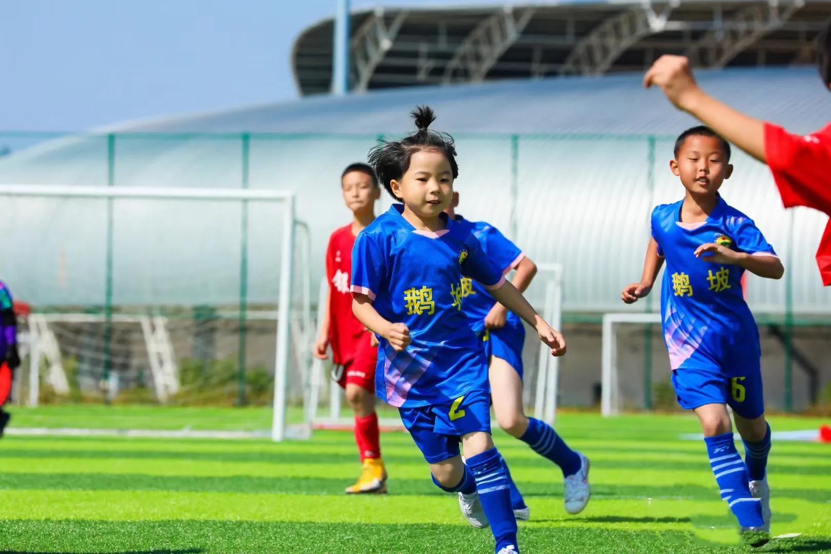 浙江足球改革最新消息,青岛足球改革最新消息