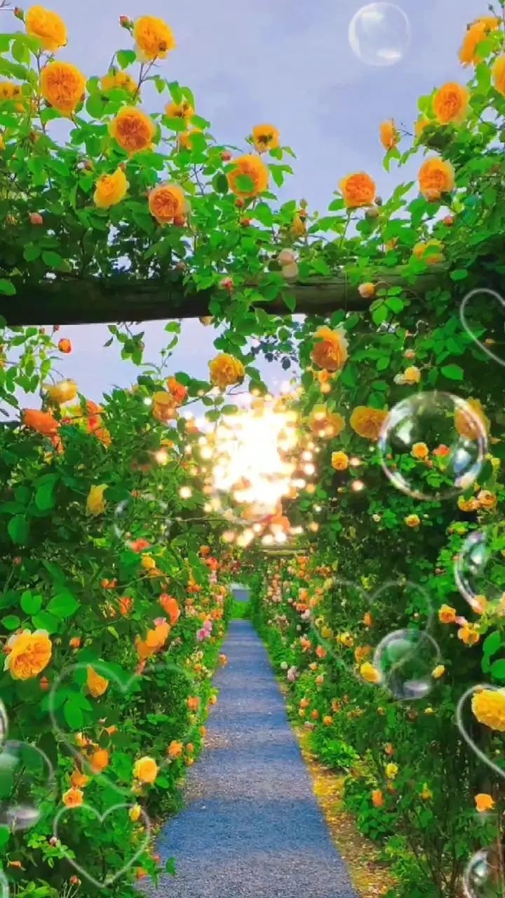 风里来雨里去人生百味随意就好,人生百味随意就好文案