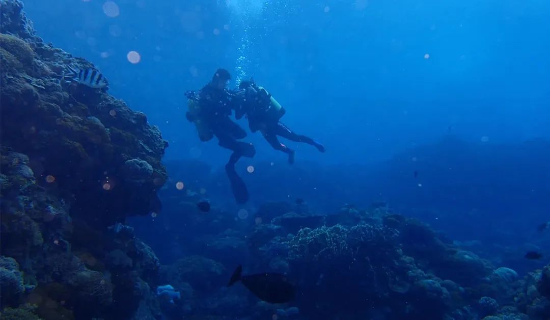 海岛控私藏的33个绝色海岛,盘点四个宝藏小众海岛