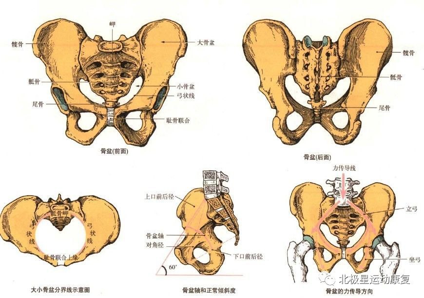 骶尾椎骨疼痛是什么原因,骶尾部疼痛如何治疗