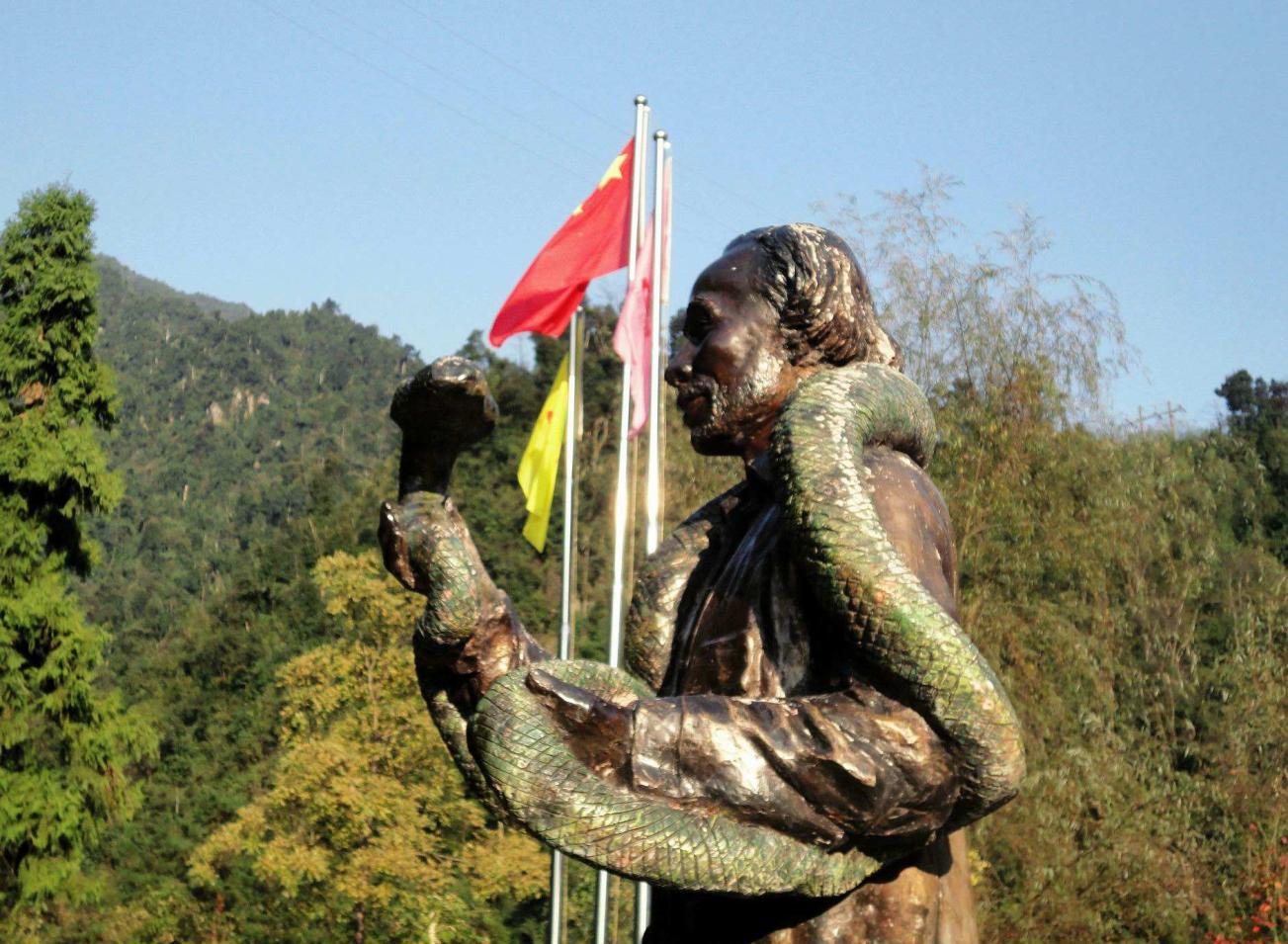 1996年莽山烙铁头蛇,莽山烙铁头被盗事件