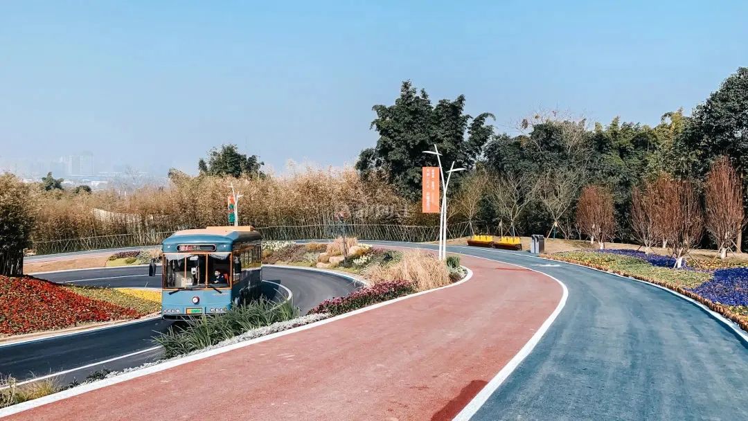 熊猫基地扩建园区,熊猫基地扩建最新