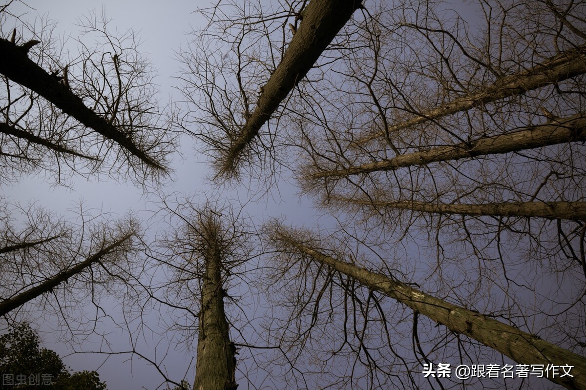 如何能让孩子学会写比喻句,怎样写出体现出活泼的句子