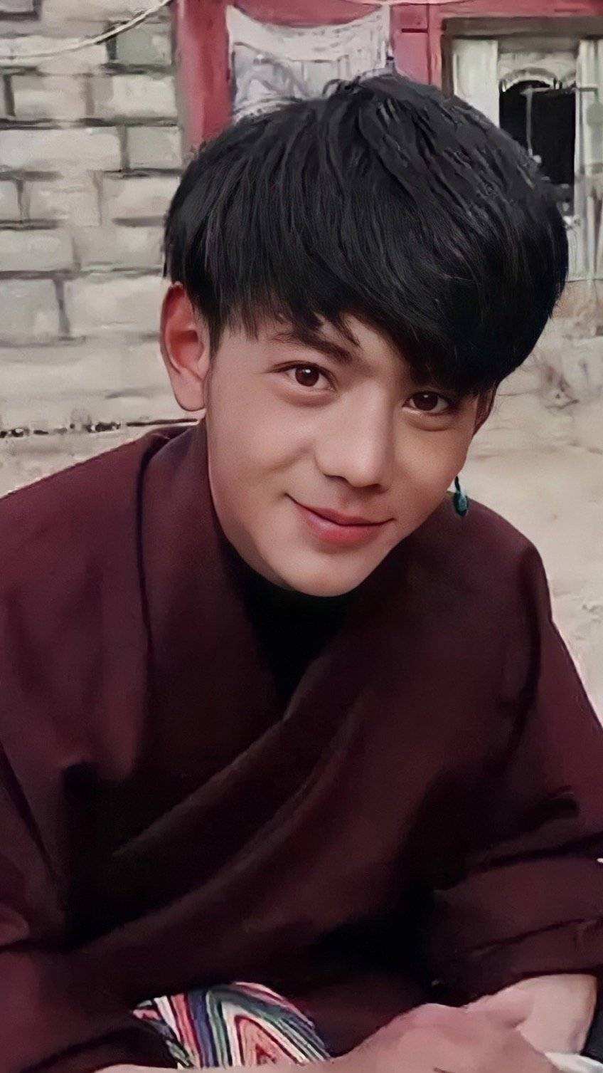 说出15个川渝地区的男明星,巴蜀美男子