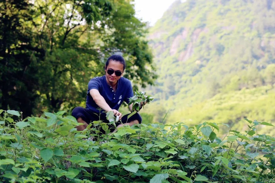 遂昌吃喝玩乐的地方,遂昌千佛山旅游度假
