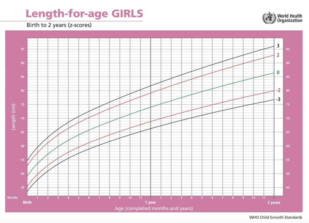 营养不吸收体瘦怎样调理,身体瘦不吸收营养怎么办