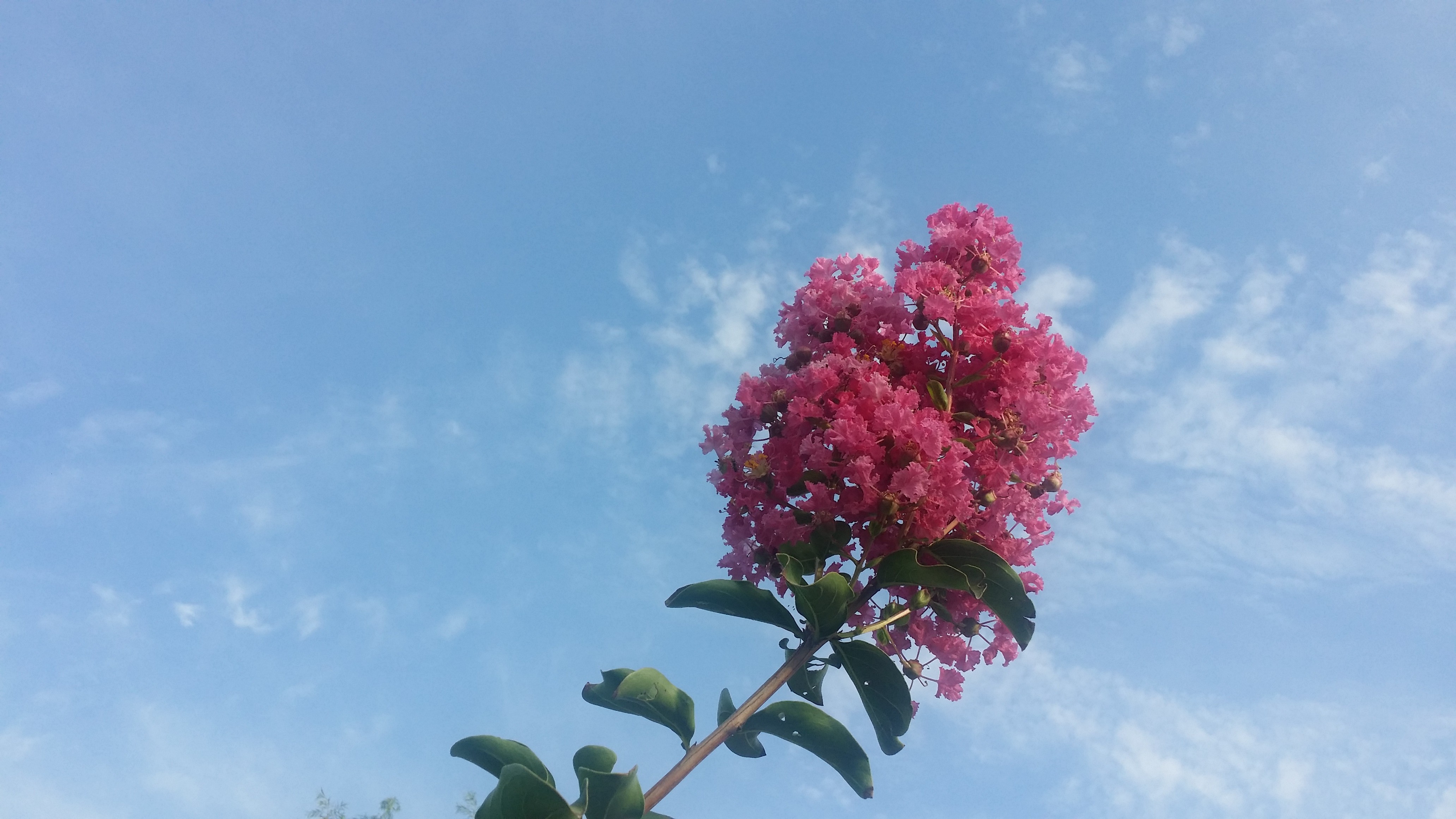 利：莫忘“禾”字旁边一把刀/孔明