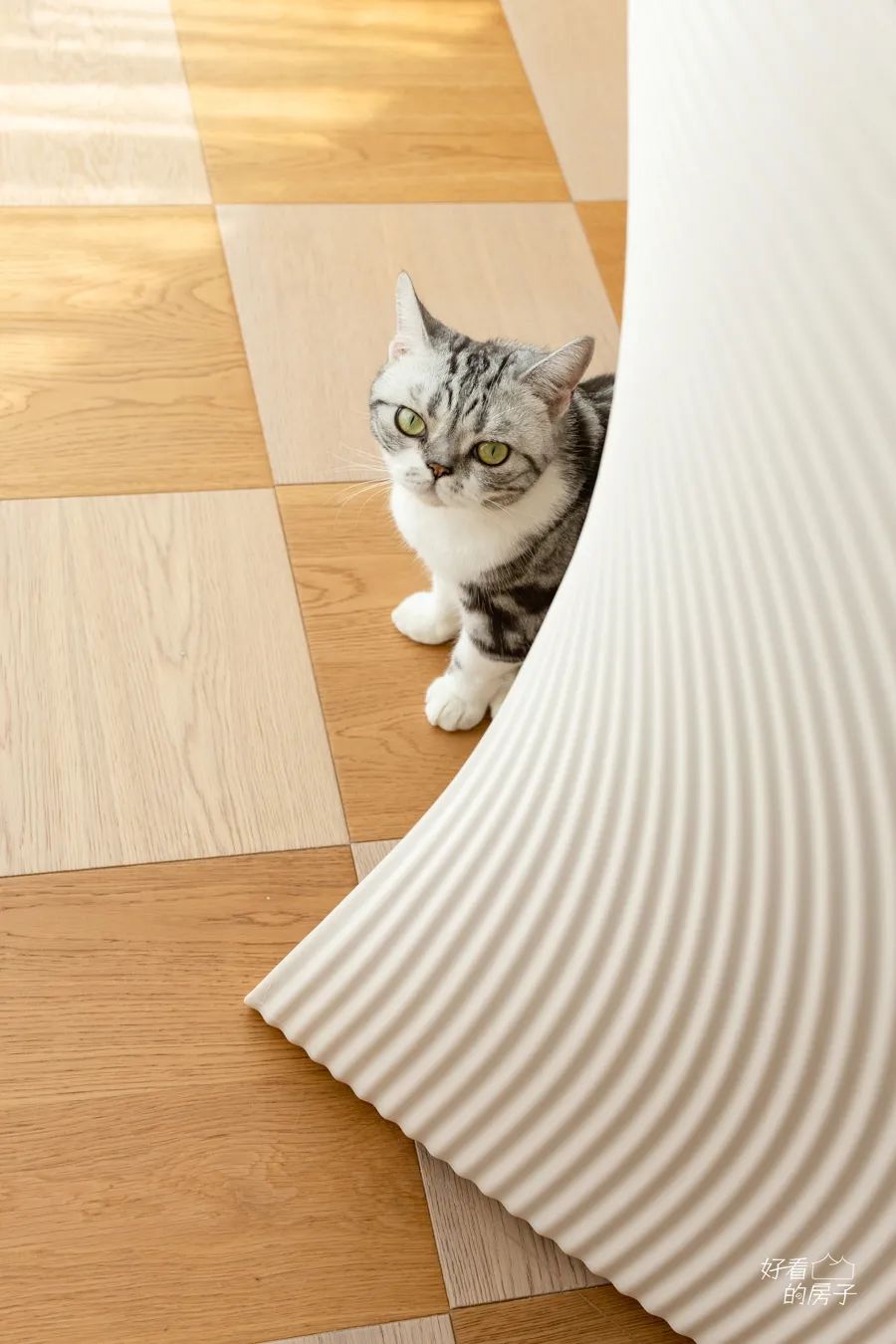 好看的房子里面家具,好看的房子还有一些细节