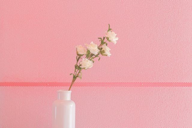 面善心黑的人最怕三句话,面善心黑的趁早远离