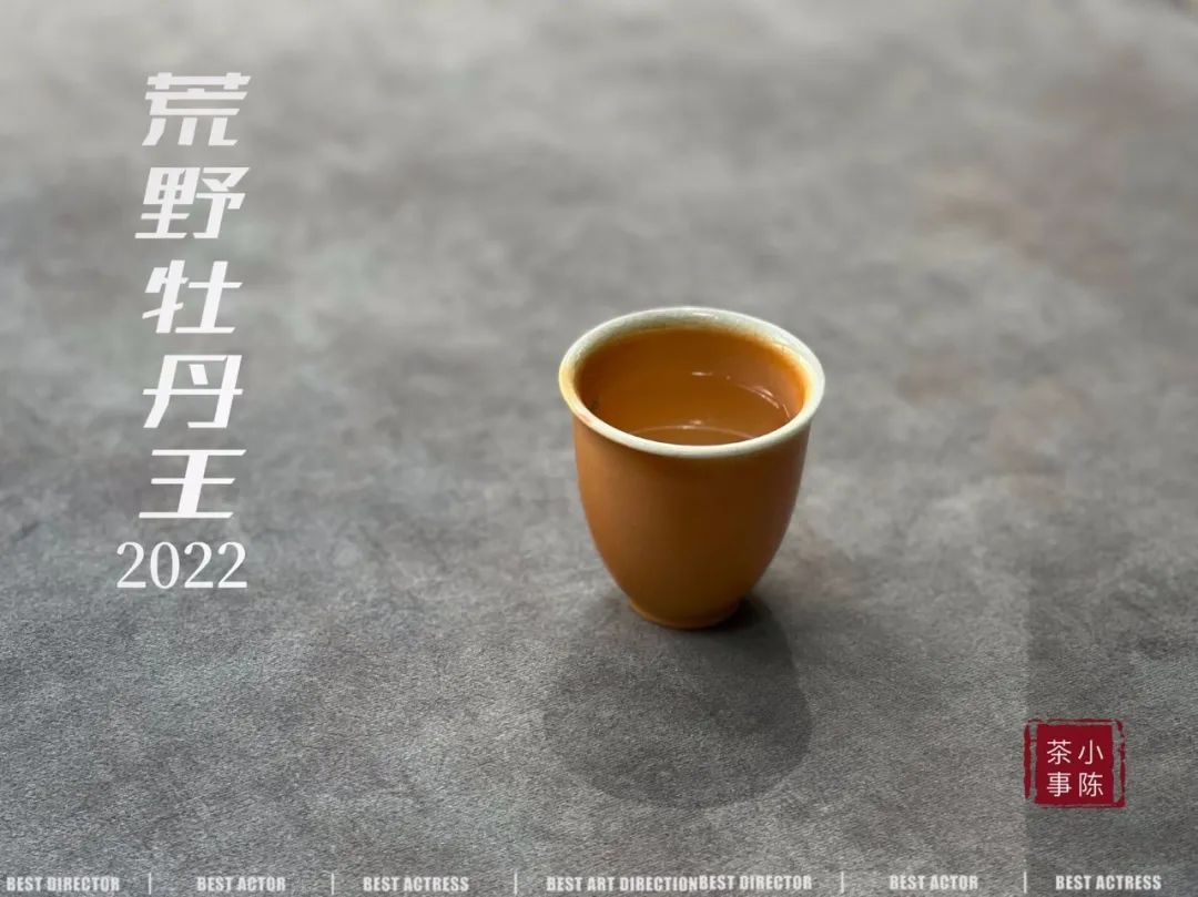 什么茶最适合夏天喝茶,夏天喝哪几种茶比较舒服