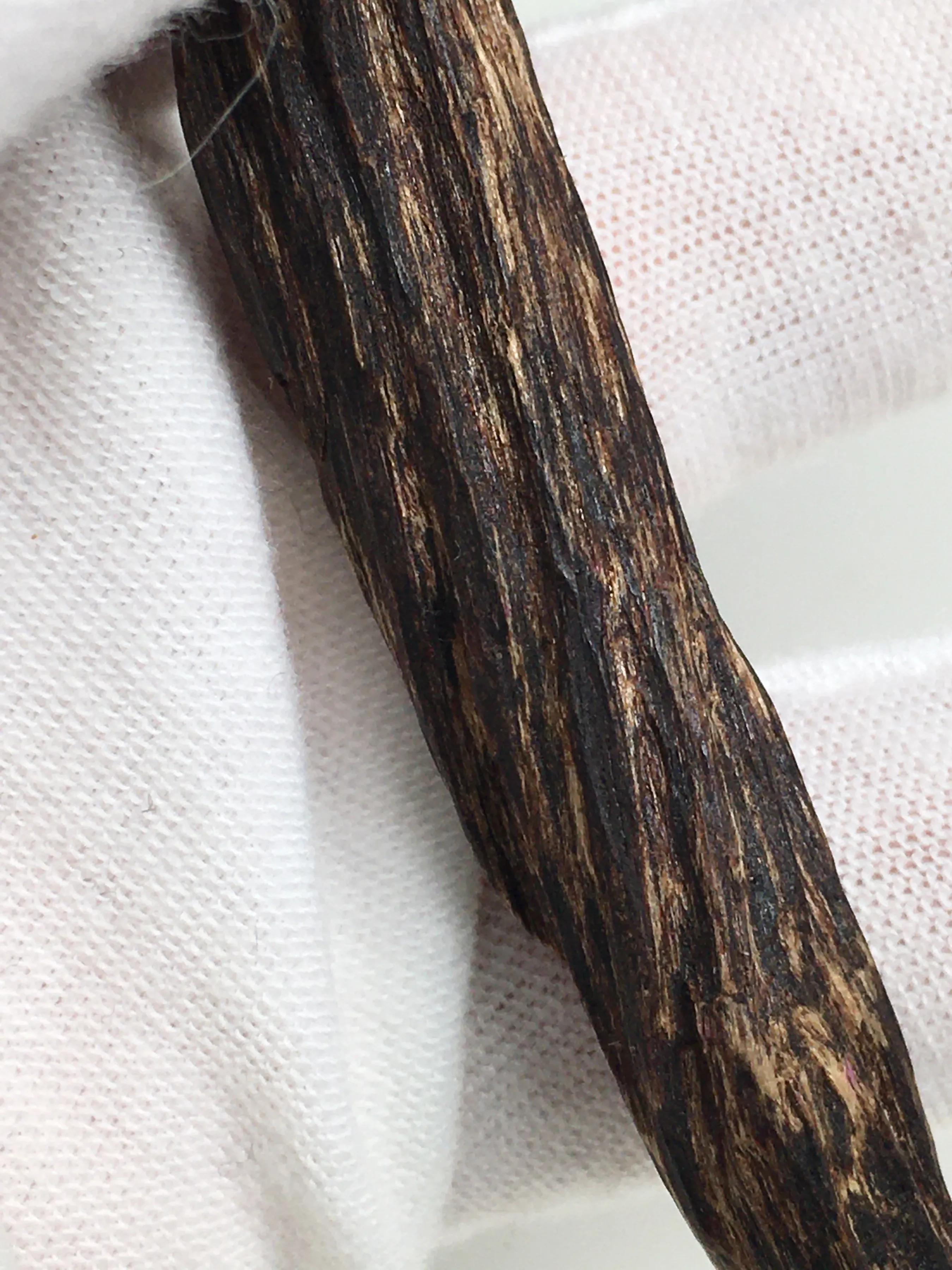 香港沉香属于星洲不,香港与沉香的关系