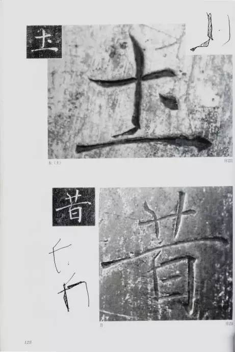 宸ョ瑪鐢绘潹鏅箟鐢诲唽,鏉滈箖鏉ㄦ櫘涔夊畬鏁寸増