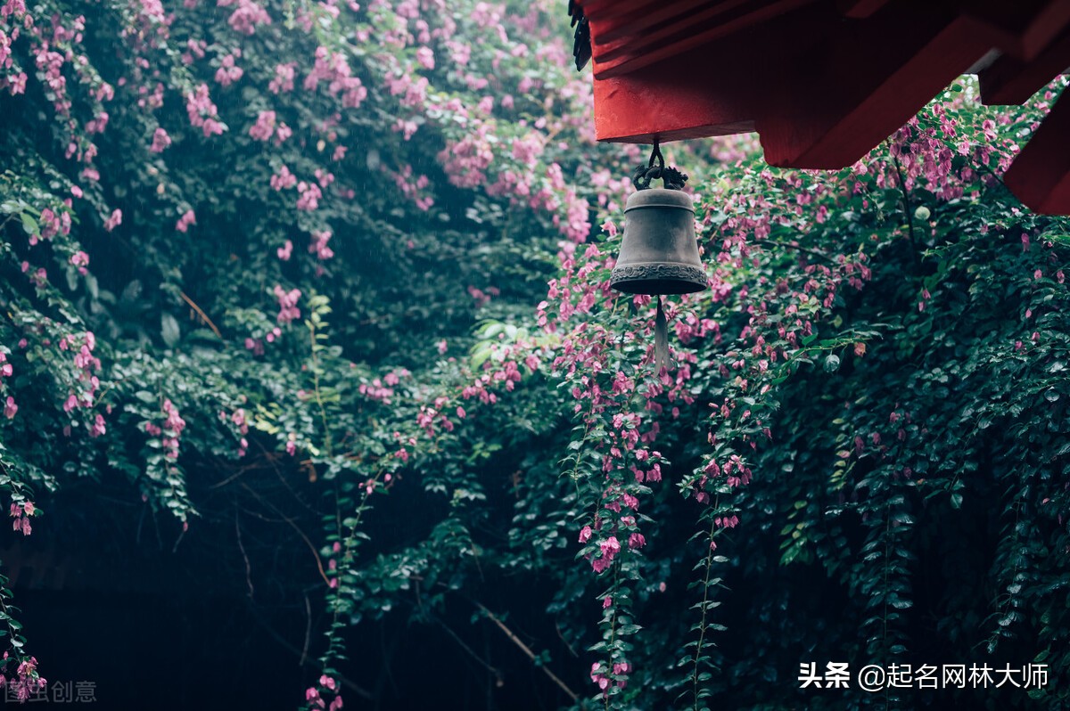 好听的古风名字女四个字仙气高冷,霸气又好听的古风名字女