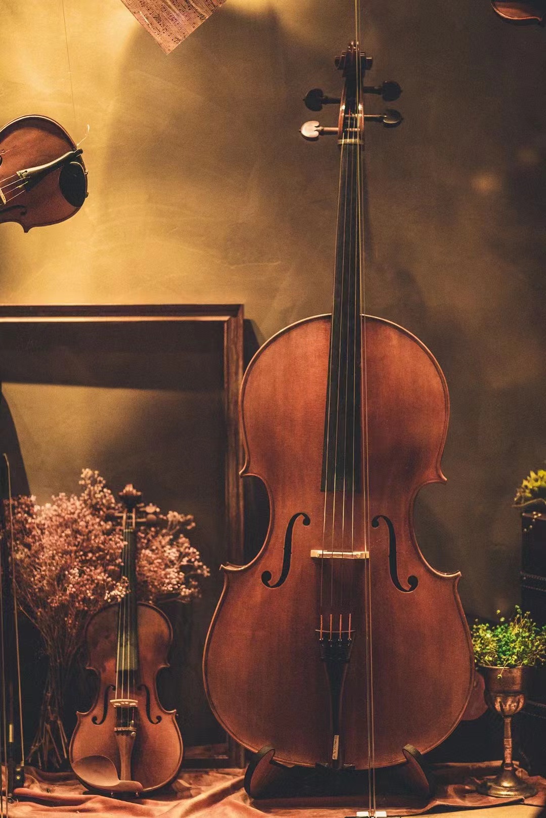 怎样选购物美价廉小提琴,小提琴初学买什么样的小提琴好