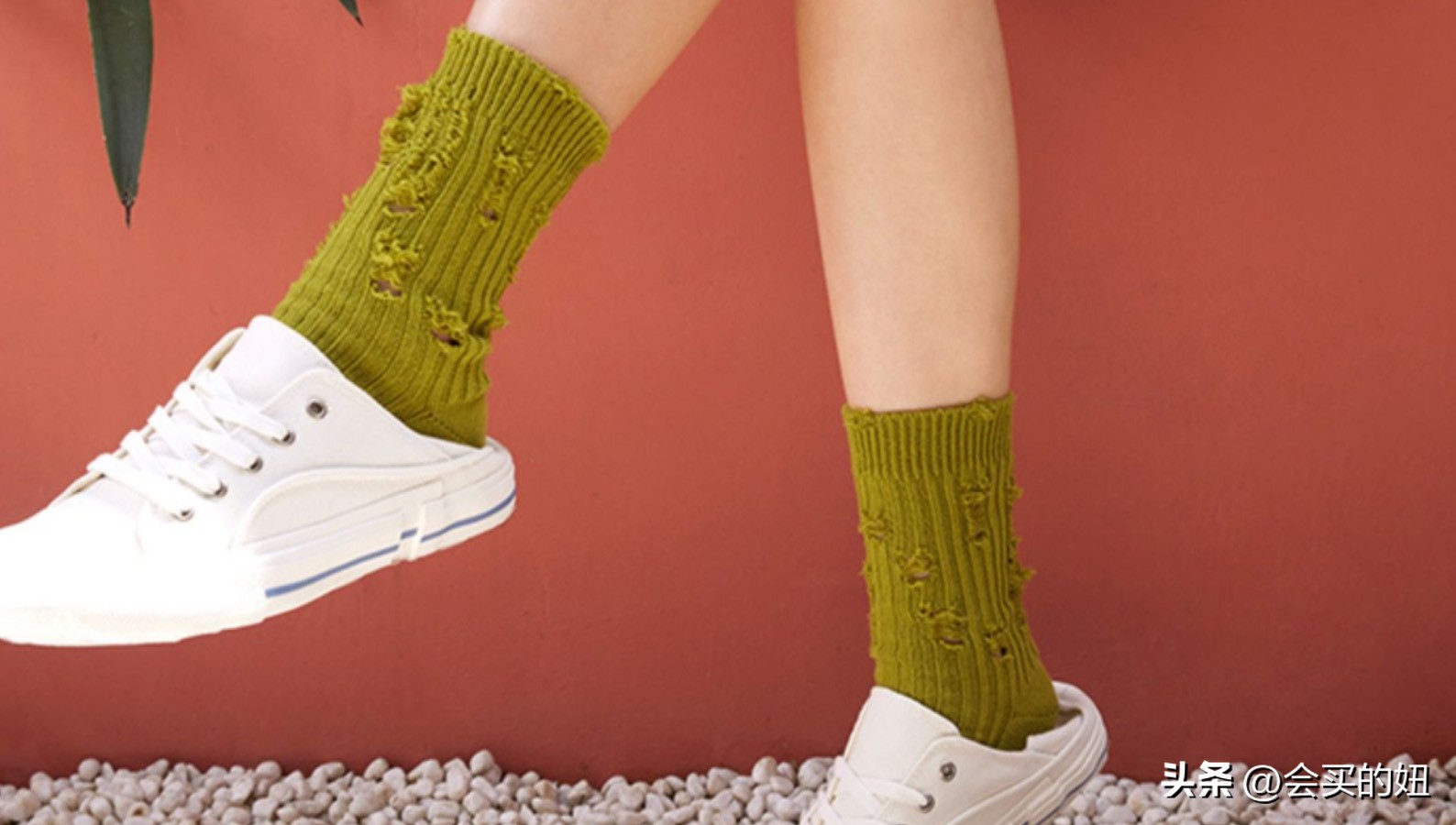 适合一年四季穿的袜子店铺推荐,袜子选购技巧