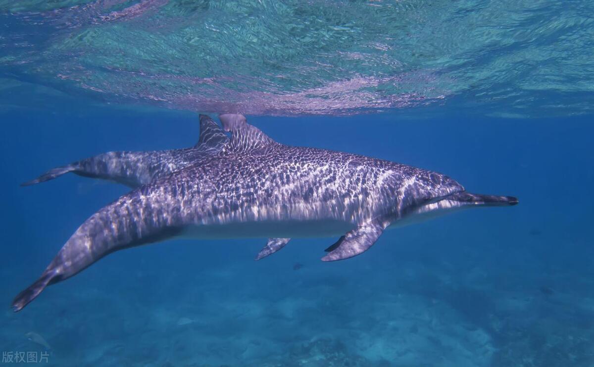 儿童节的意义就是当你长大了,我们90后的儿童节都是怎么过的