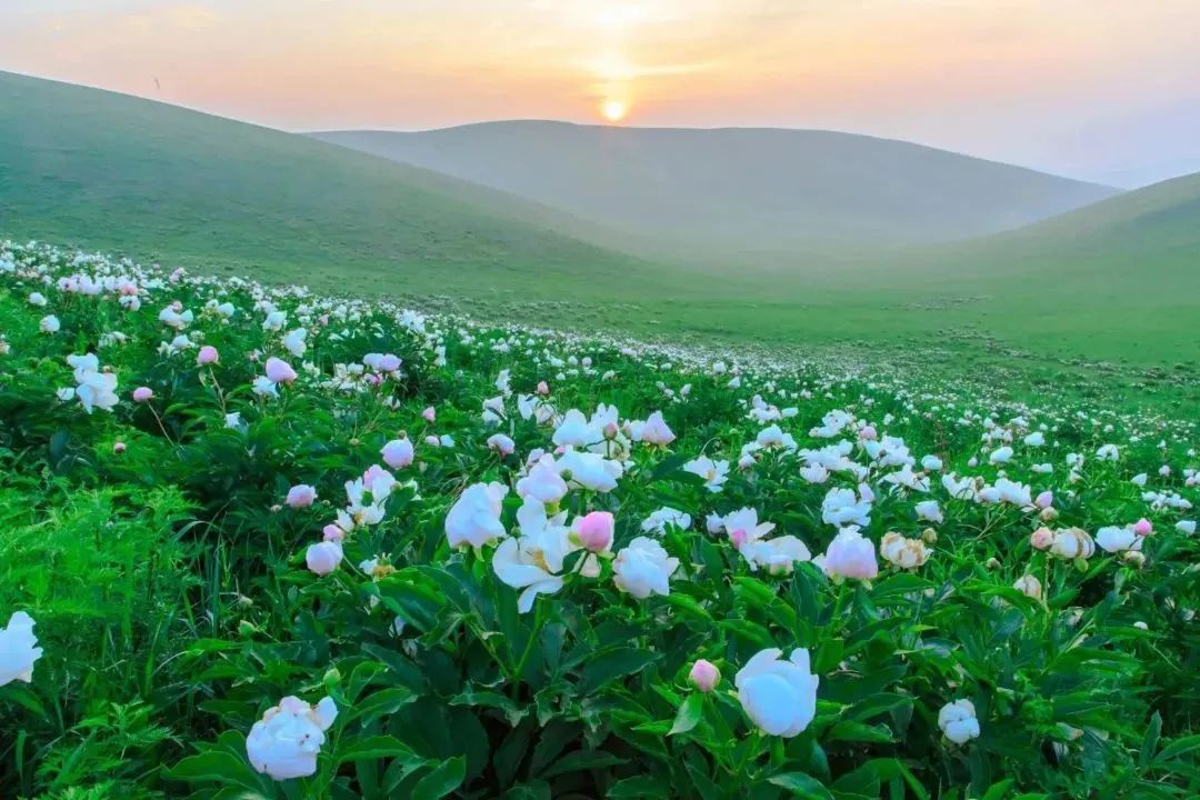 来打卡！锡林郭勒十大网红打卡地