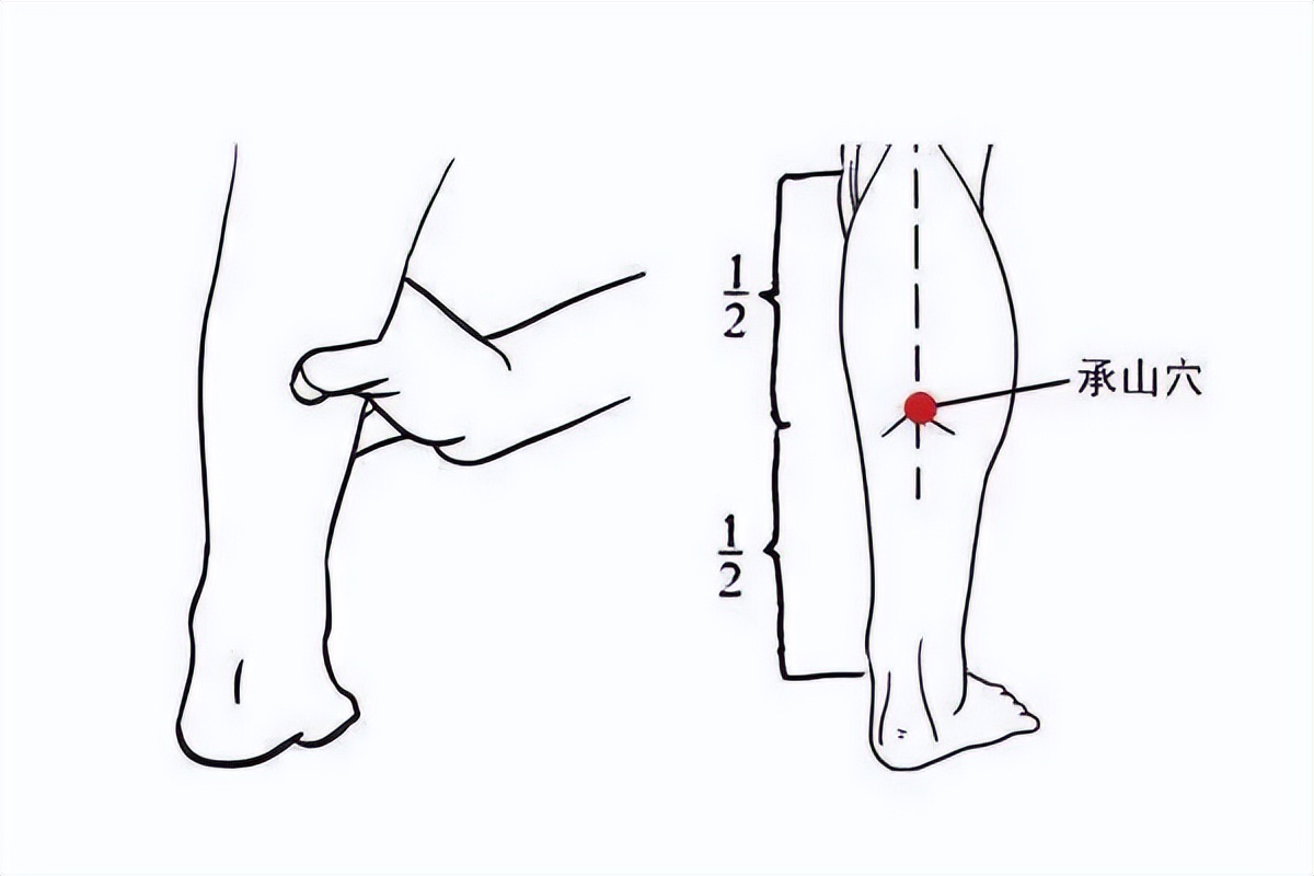 中医基础之9种常见病特效穴，八十二岁老中医教你掌握