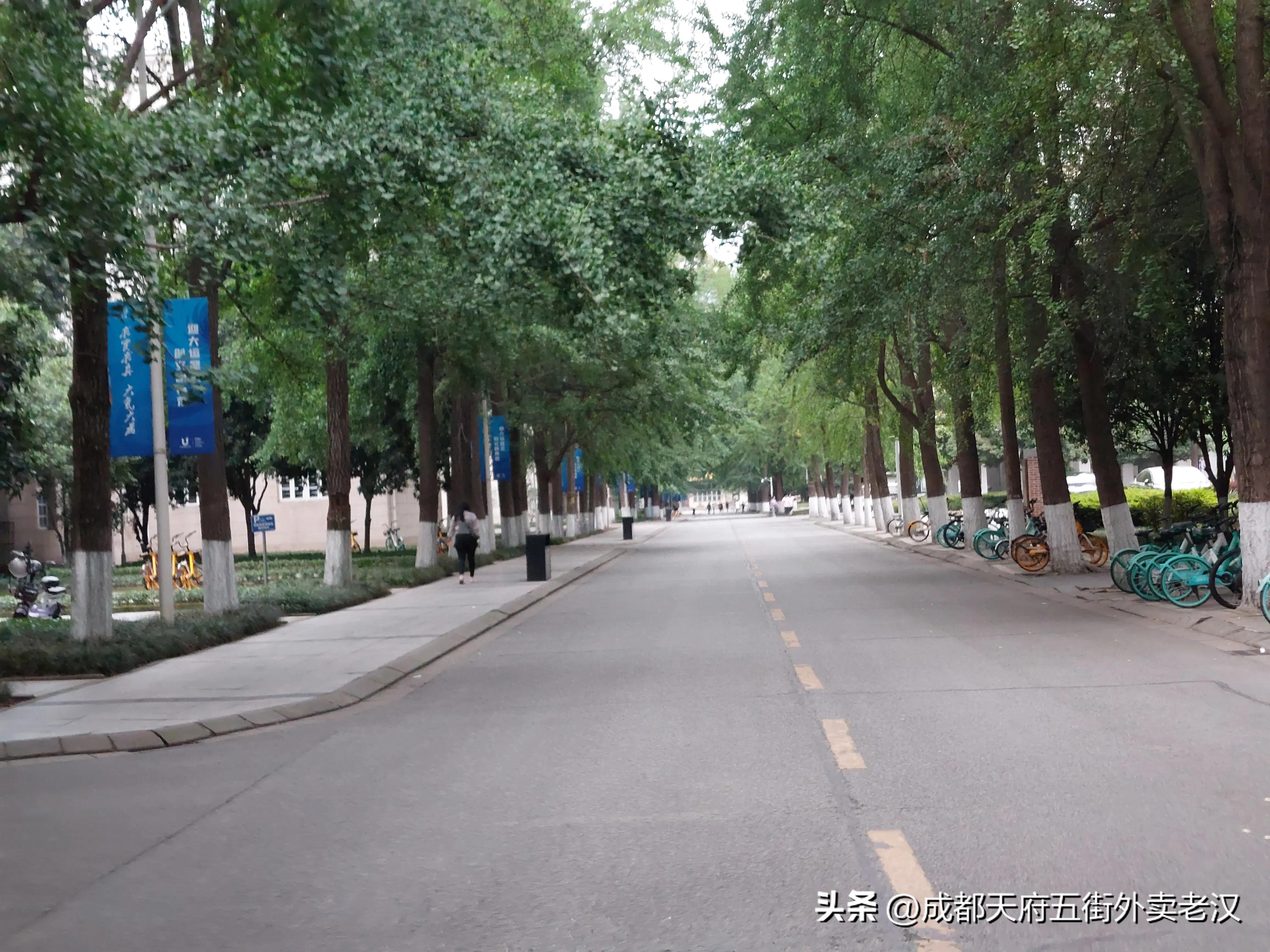 电子科技大学计算机专业是a吗,电子科技大学计算机专业全国排名