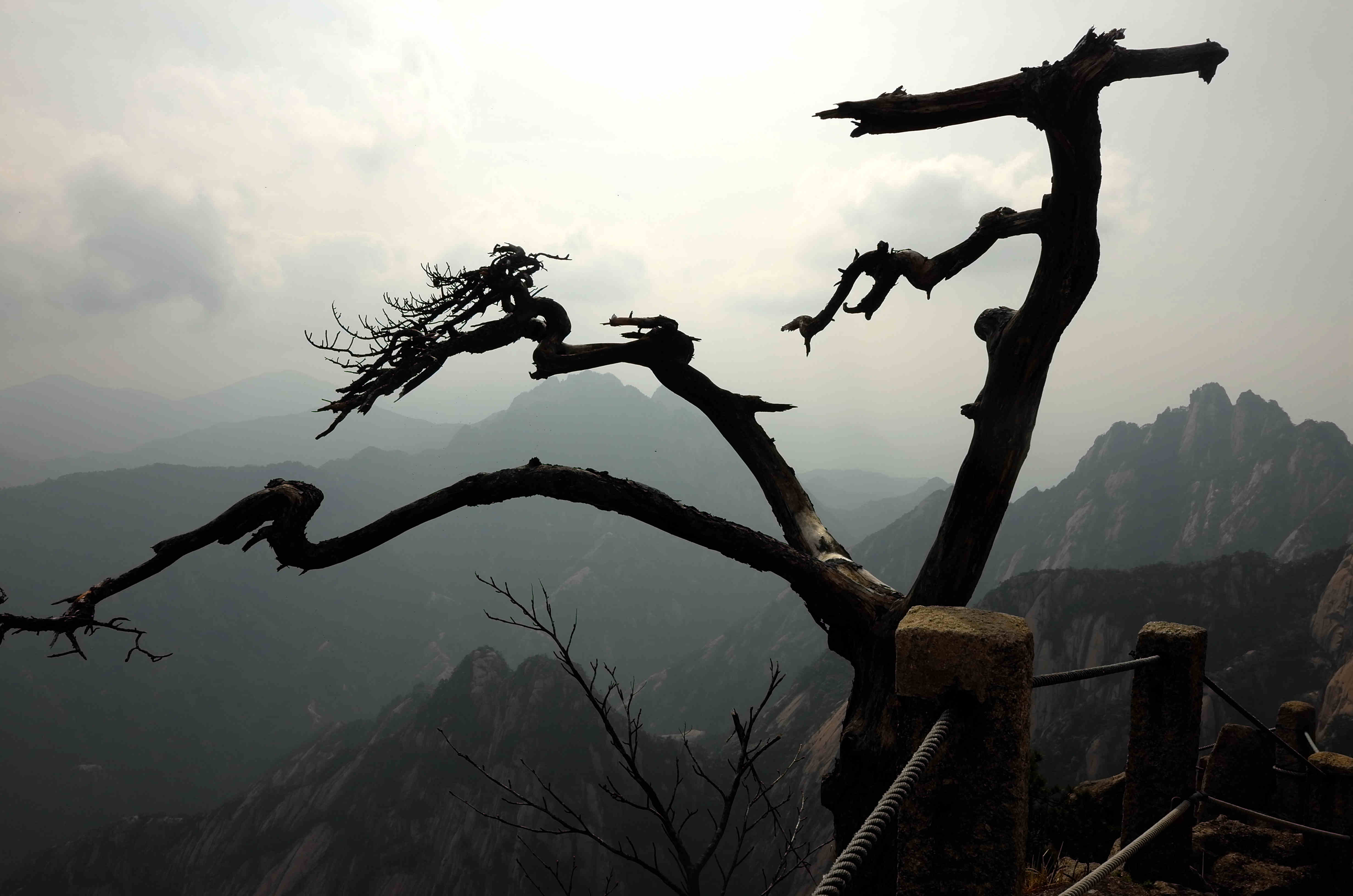 黄山天都峰会走鲫鱼背吗,黄山天都峰鲫鱼背第一视角
