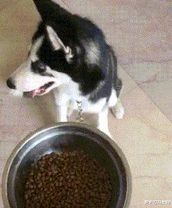 麻麻说了,谁要是娶了我,后面的苞米都是你的,哈哈哈