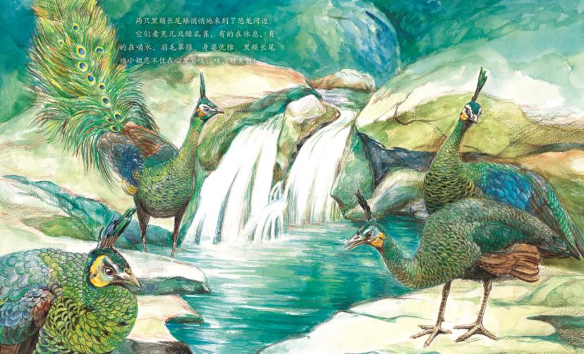 珍稀野生动物鸟类图片朱鹮,我国珍稀鸟朱鹮图片