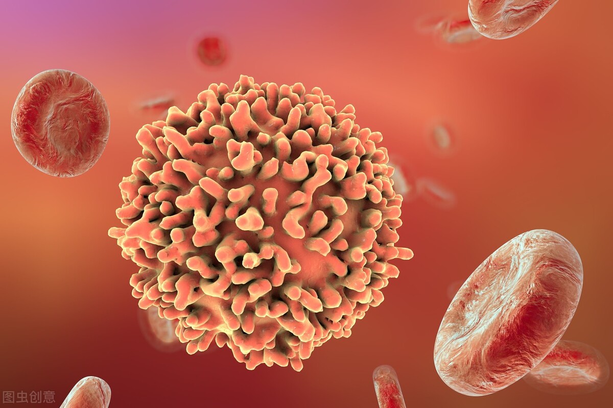 免疫养鸡的正确方法视频,免疫养鸡技术