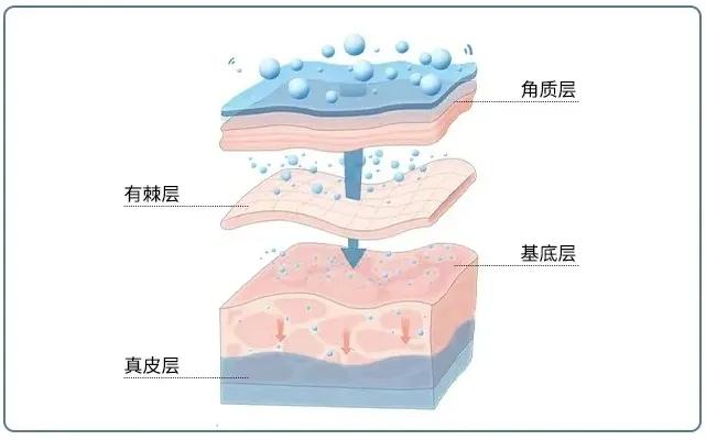 保湿护肤到底有多重要,故事情节护肤品