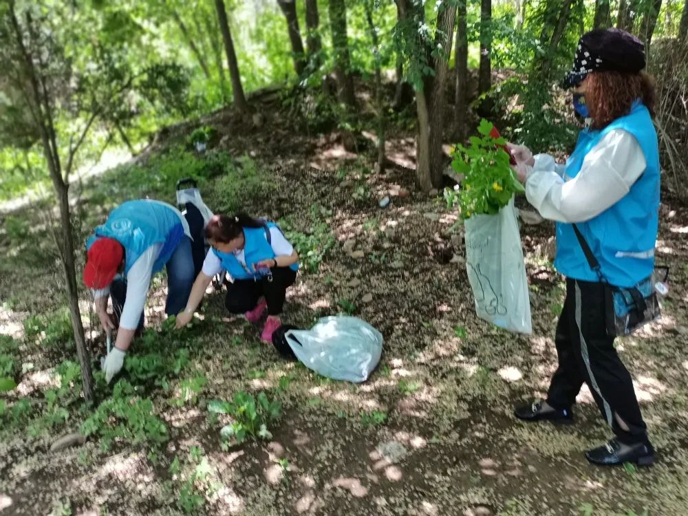 城市文明旅游,文明旅游才是最美的风景