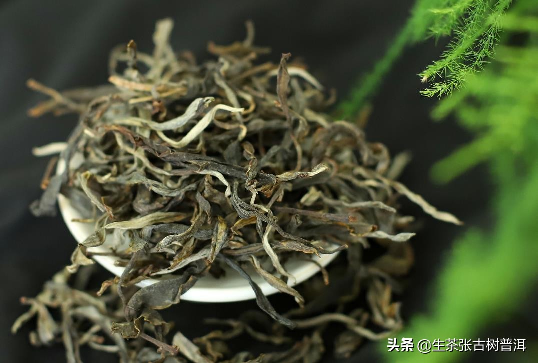 勐海茶苦临沧茶涩易武的茶甜,易武与勐海的普洱茶哪个好