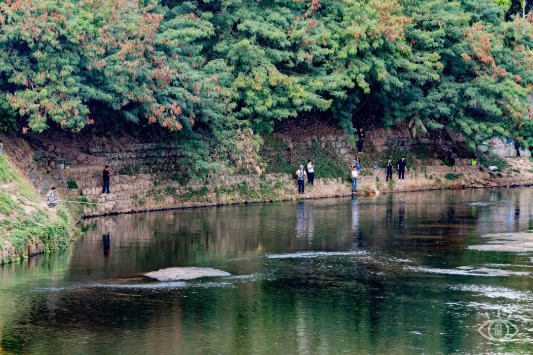 十大风景最美的湖泊排行榜,深圳风景美丽的湖泊
