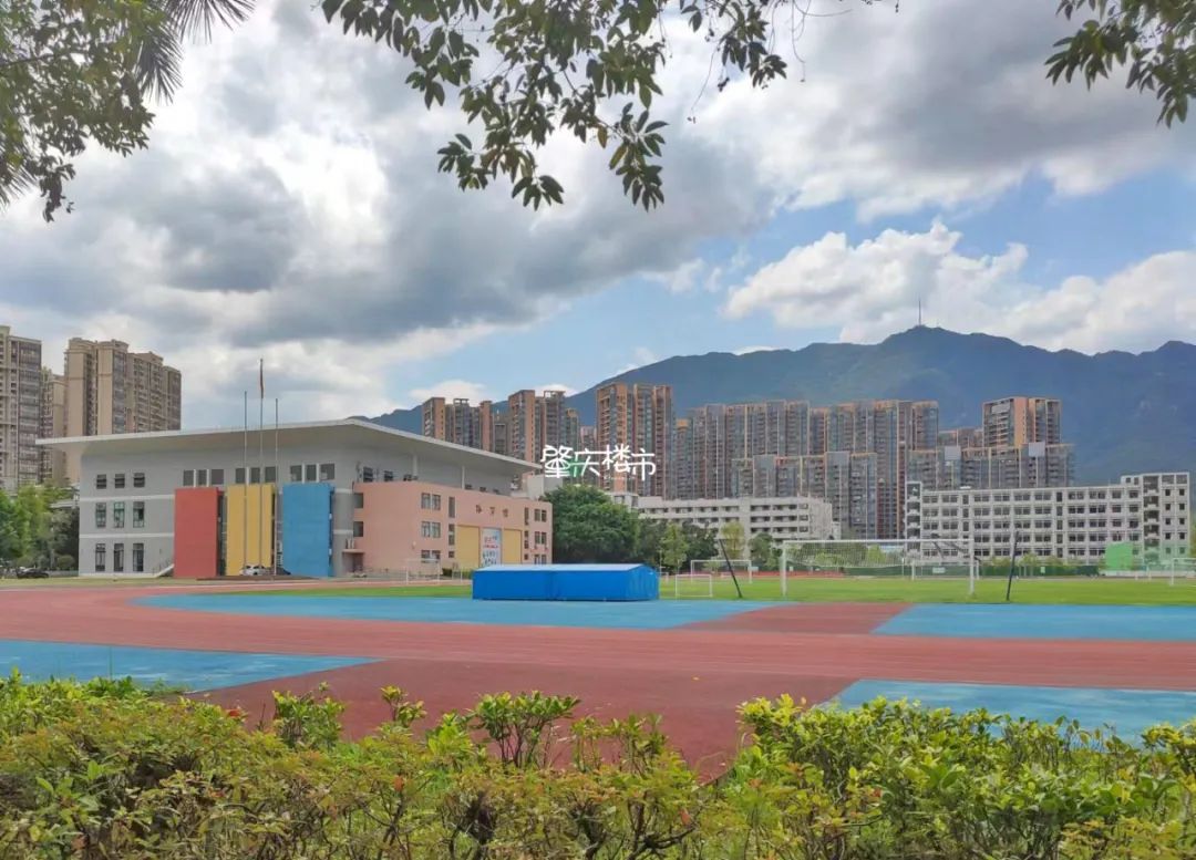 肇中高考喜报,肇中高考升学率