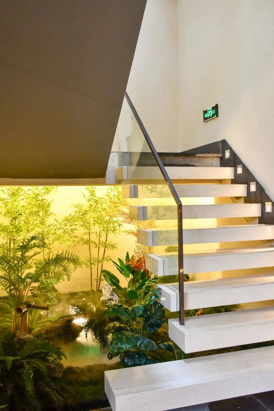 春节来光明“桥”见1958，寻找光明记忆