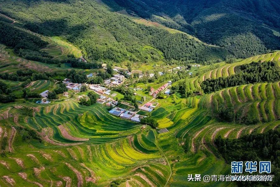 马建立：生态是青海的“幸福色”，是文化旅游的发展底色