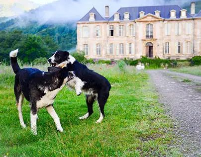 澳洲夫妇被坑230万买下烂屋！神级改造后惊艳网友：想去打卡