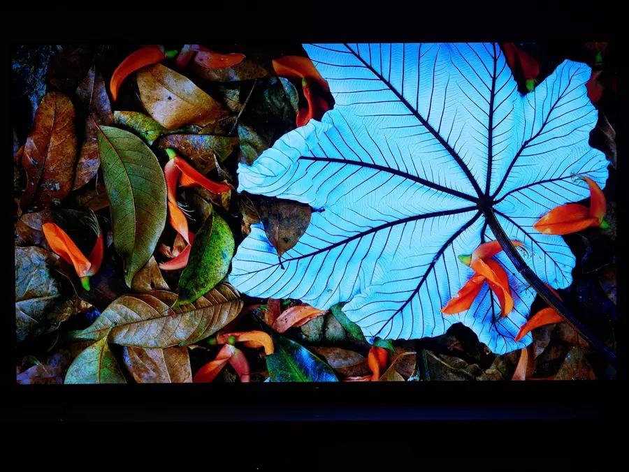 索尼oled电视77a80k测评,索尼a80ek电视测评