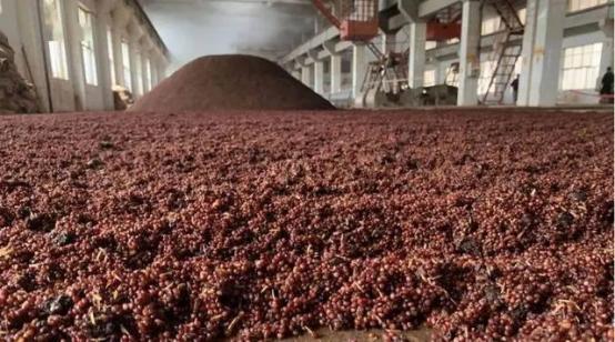 真正正宗白酒是什么代号,纯粮白酒标准代号大全及价格