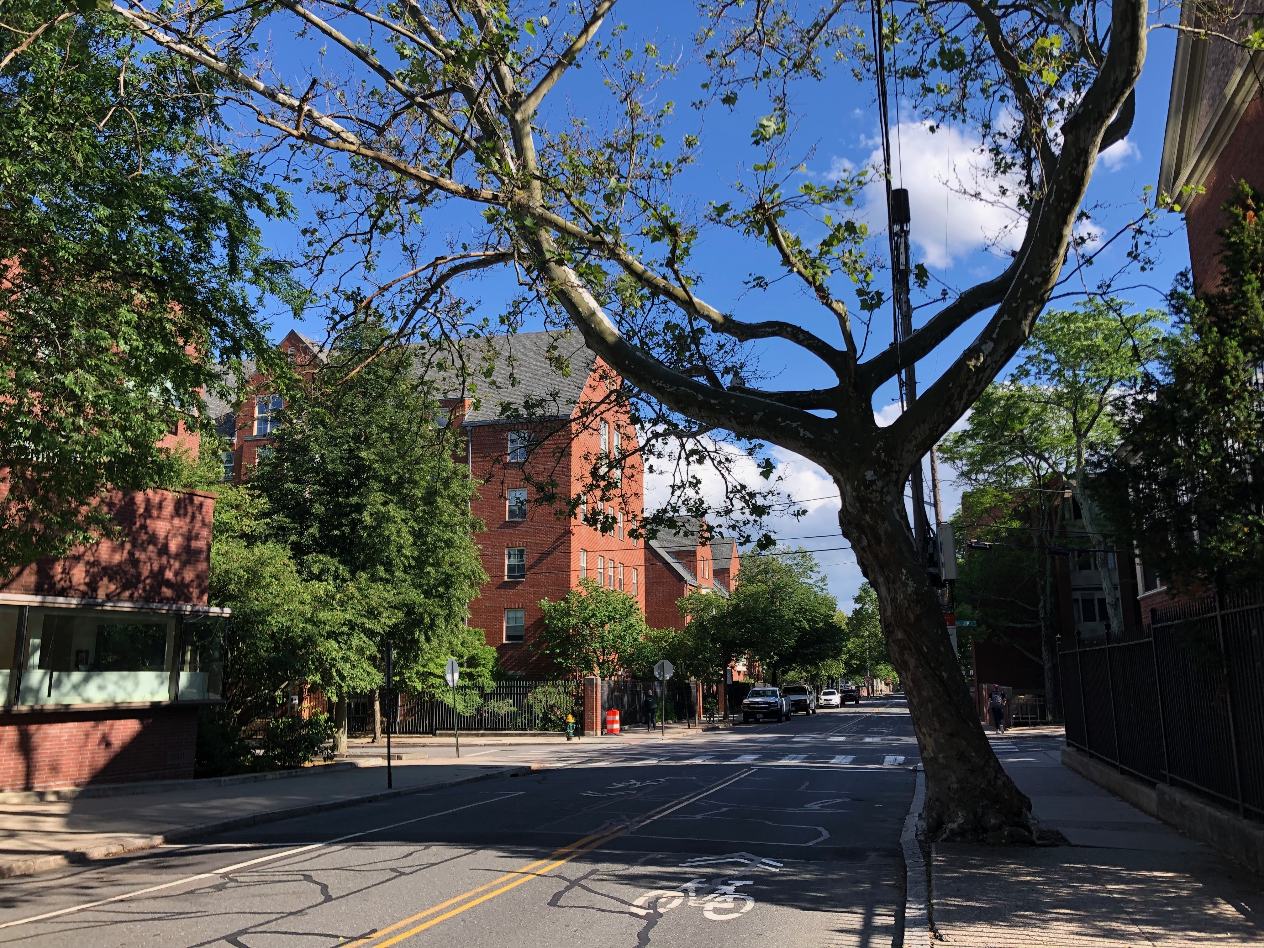 布朗大学罗德岛校区,美国罗德岛州布朗大学