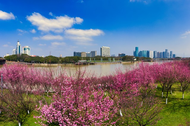 千课一面的破解之道——陌生化