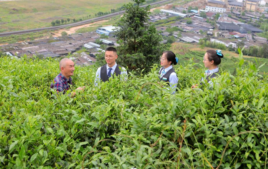 丽水创新金融中心效果图,丽水创新金融中心一期项目