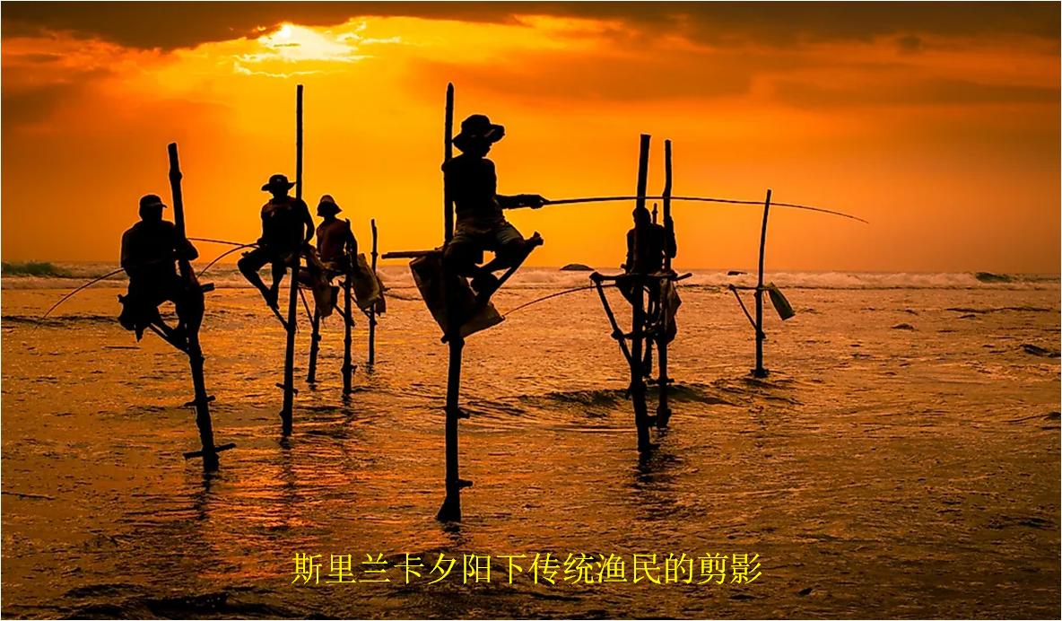 世界各国平均身高最矮,世界平均身高最矮的国家排名