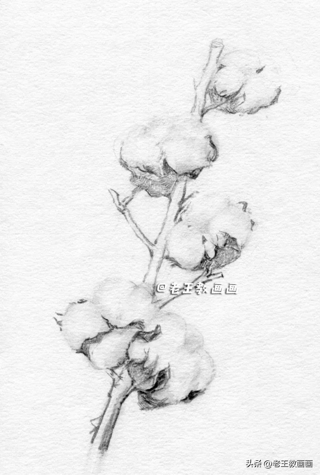 怎么画一个简单的棉花糖,苹果玉米棉花怎么画