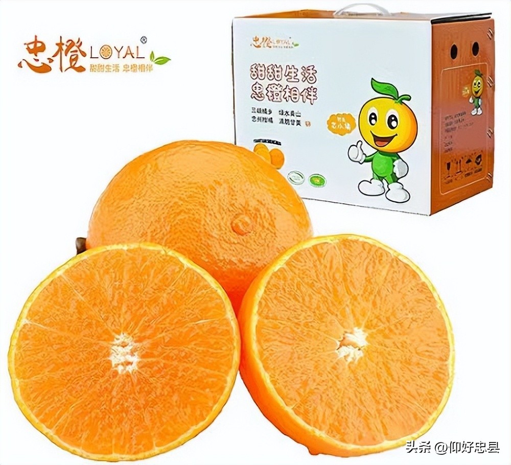 果酒酿酒的新技术,果酒酿造原理及制作方法