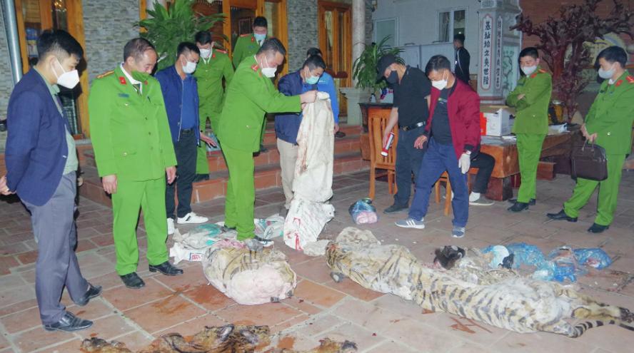 在家杀虎取膏，越南一乡长被刑拘