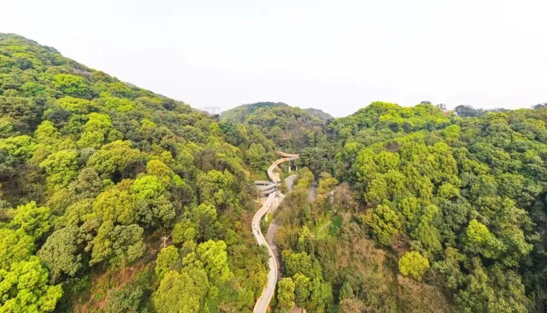 四川内江到云南旅游自驾游路线,重庆四川南充旅游线路攻略