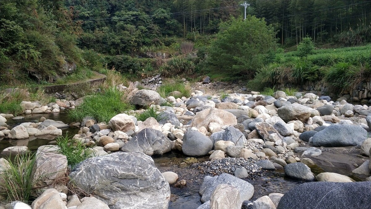 关于麻雀的美文,小麻雀经典散文