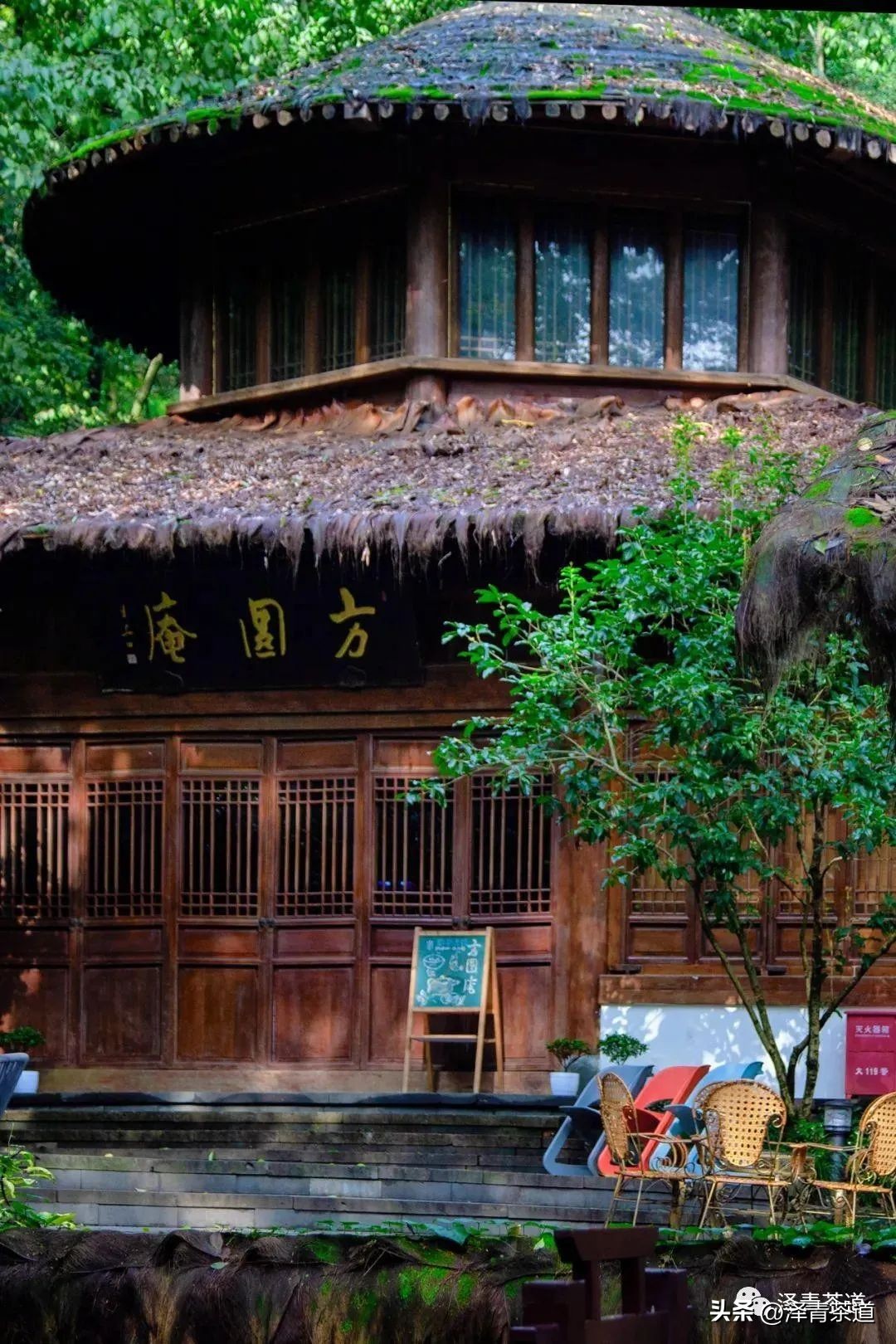 中国茶叶第一产茶大省,陕西中国茶叶第一大省