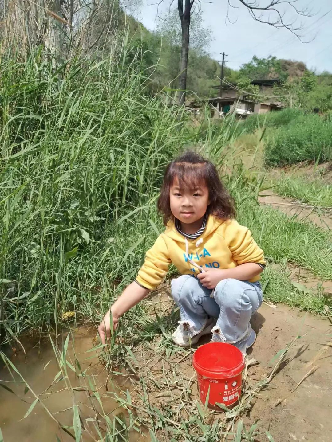 新绛县幼儿园【中四班班本课程】遇见蝌蚪